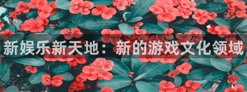 PG电子平台