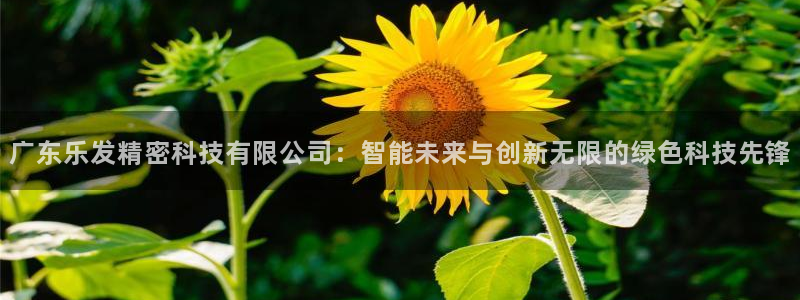PG电子凯捷注册：广东乐发精密科技有限公司：智能未来与创新无限的绿色科技先锋