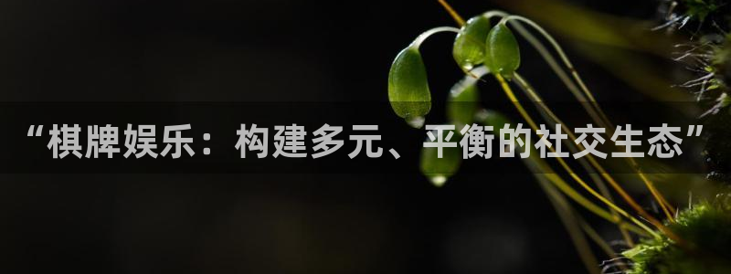 PG电子官网