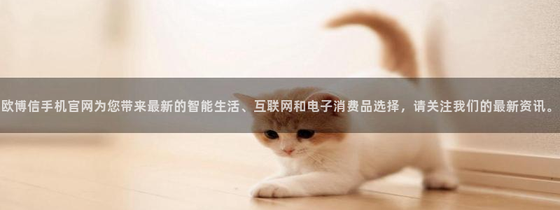 PG电子招商