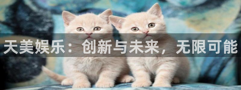 PG电子3官网登录：天美娱乐：创新与未来，无限可能
