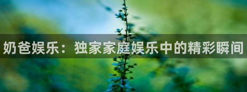 PG电子官网入口：奶爸娱乐：独家家庭娱乐中的精彩瞬间