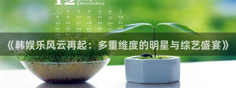 PG电子4官网：《韩娱乐风云再起：多重维度的明星与综艺盛宴》
