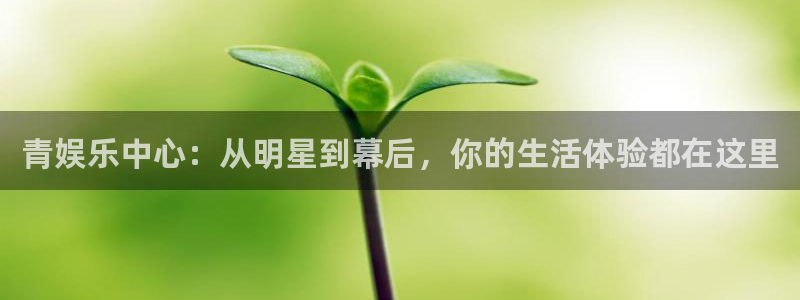 PG电子体育和杏耀是哪个公司的：青娱乐中心：从明星到幕后，你的生活体验都在这里