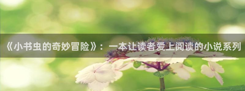 福建PG电子机电股份公司：《小书虫的奇妙冒险》：一本让读者爱上阅读的小说系列