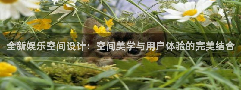 PG电子体育官网注册：全新娱乐空间设计：空间美学与用户体验的完美结合