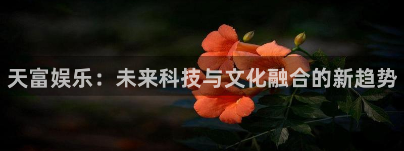 PG电子主管：天富娱乐：未来科技与文化融合的新趋势