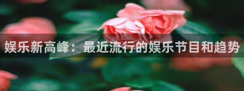 PG电子登录：娱乐新高峰：最近流行的娱乐节目和趋势