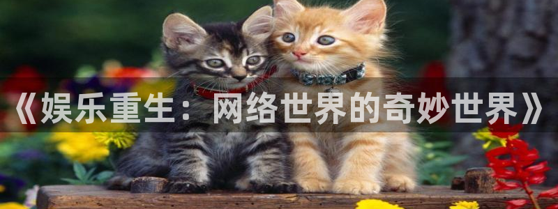 PG电子体育热门赛事有哪些：《娱乐重生：网络世界的奇妙世界》