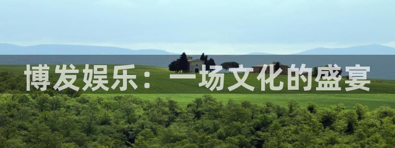 PG电子集团：博发娱乐：一场文化的盛宴