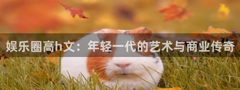 PG电子体育和杏耀是哪个公司的：娱乐圈高h文：年轻一代的艺术与商业传奇