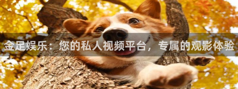 德国PG电子集团：金足娱乐：您的私人视频平台，专属的观影体验