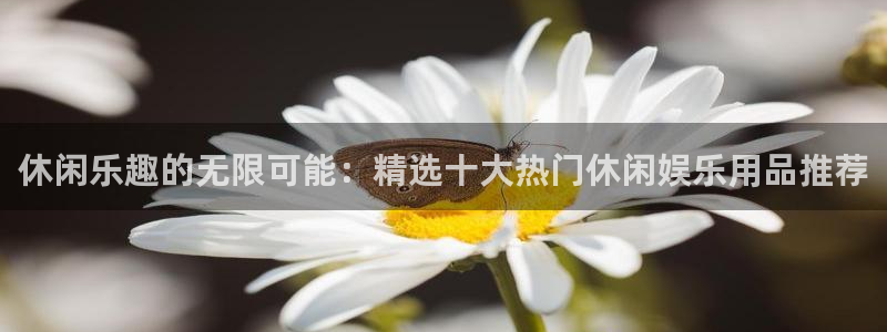PG电子注册：休闲乐趣的无限可能：精选十大热门休闲娱乐用品推荐