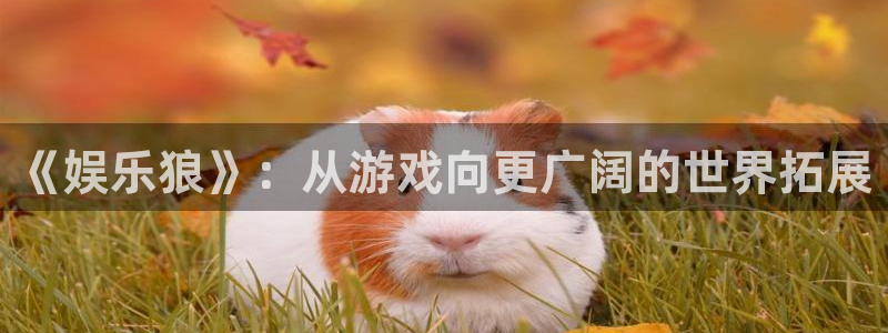 PG电子集团股票：《娱乐狼》：从游戏向更广阔的世界拓展