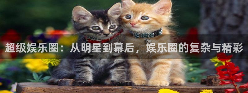 成都PG电子电子有限公司：超级娱乐圈：从明星到幕后，娱乐圈的复杂与精彩