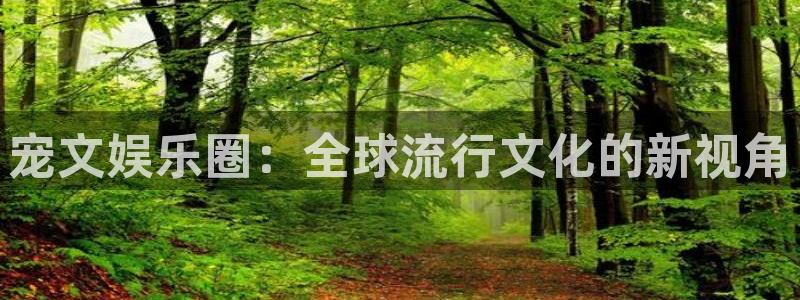 PG电子体育注册代理：宠文娱乐圈：全球流行文化的新视角