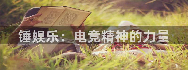 PG电子：锤娱乐：电竞精神的力量