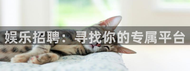 PG电子体育官网登录：娱乐招聘：寻找你的专属平台