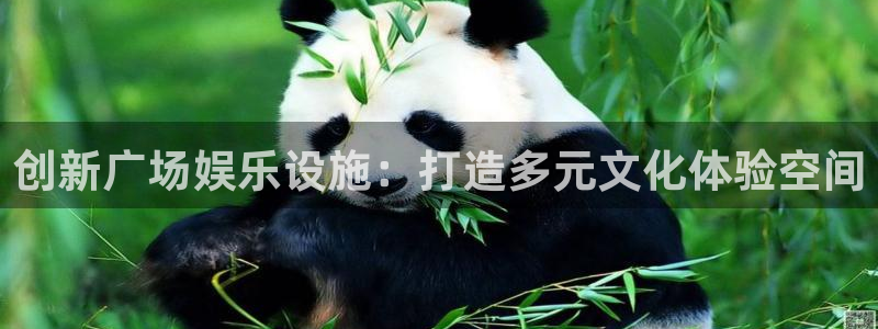 PG电子体育app下载：创新广场娱乐设施：打造多元文化体验空间