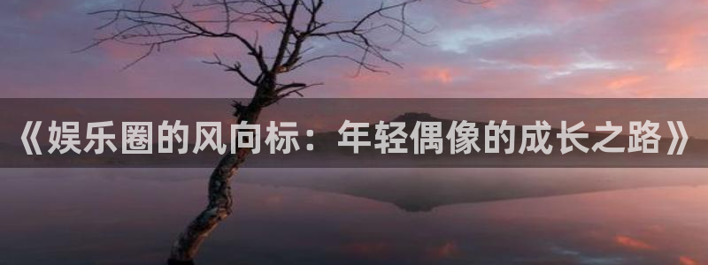 PG电子登录界面入口：《娱乐圈的风向标：年轻偶像的成长之路》