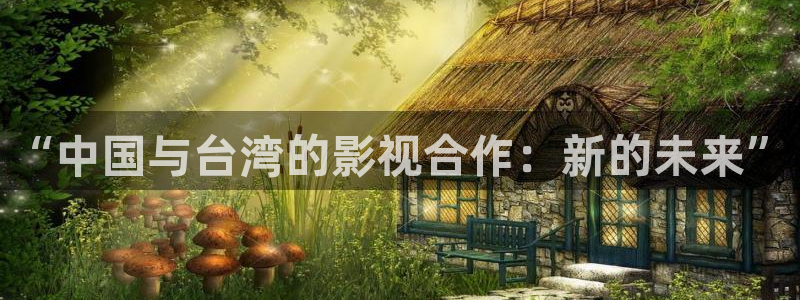 PG电子零能源集团：“中国与台湾的影视合作：新的未来”