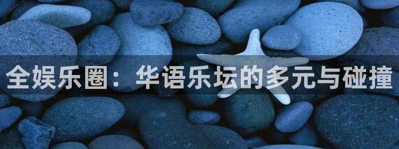 PG电子2登录地址：全娱乐圈：华语乐坛的多元与碰撞