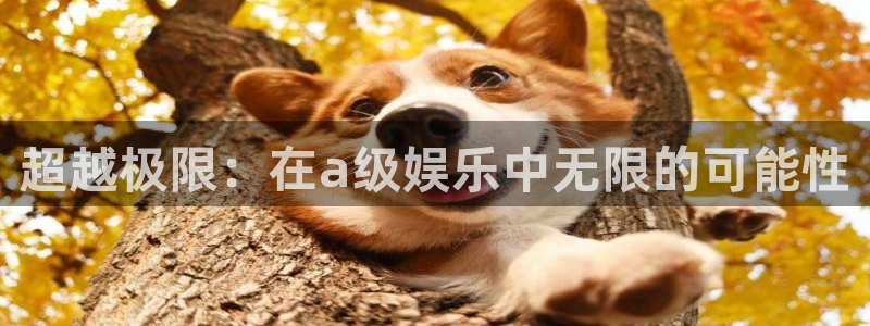佛山市南海PG电子机电仪器有限公司：超越极限：在a级娱乐中无限的可能性