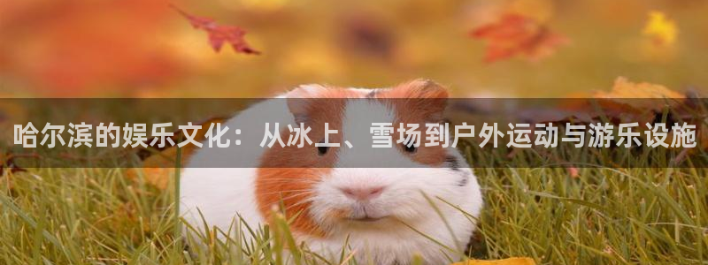 PG电子平台注册：哈尔滨的娱乐文化：从冰上、雪场到户外运动与游乐设施