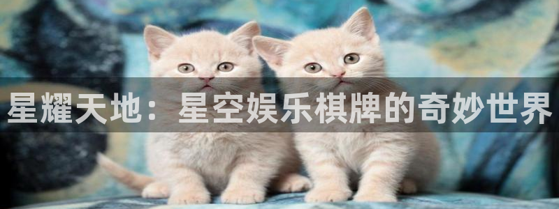 PG电子体育f开号：星耀天地：星空娱乐棋牌的奇妙世界